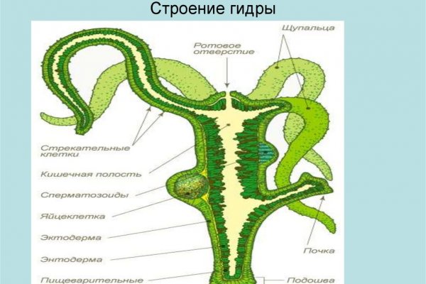 Кракен меф