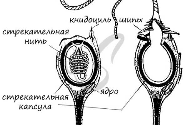 Кракен маркет kr2web in